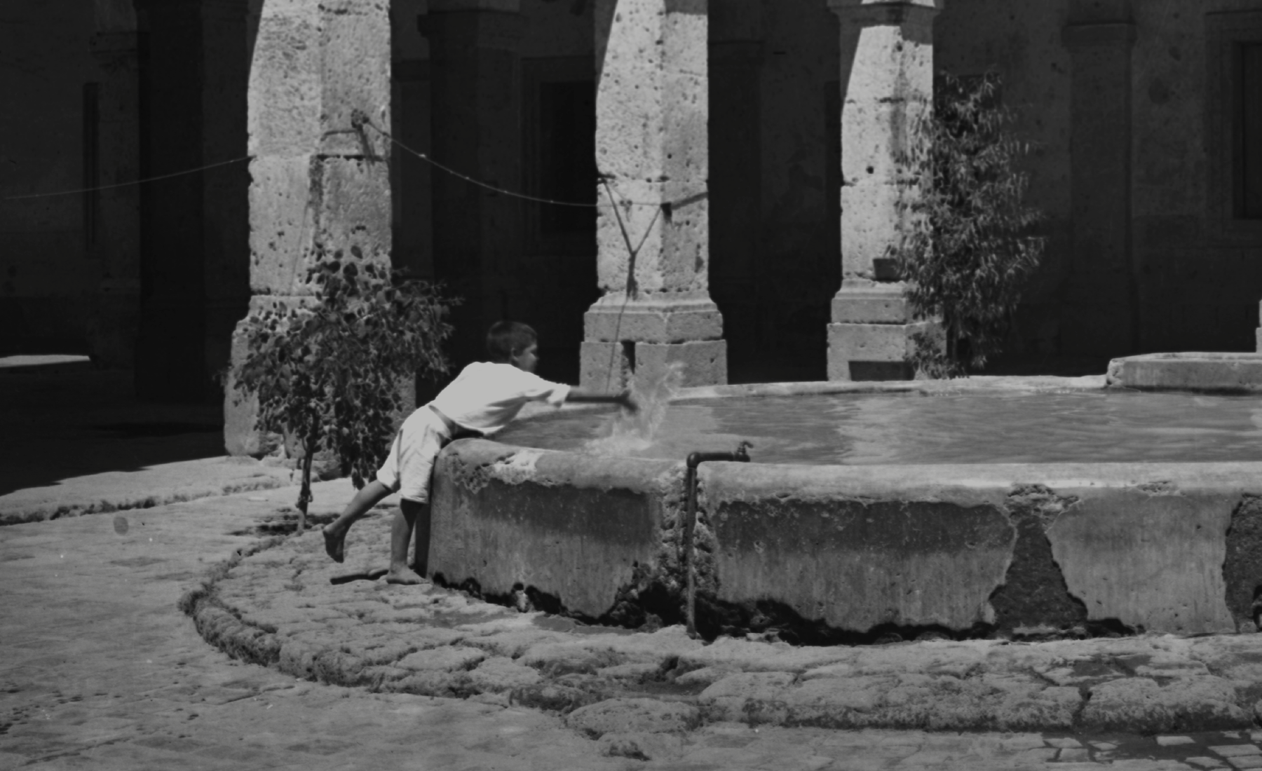 Image Alt